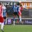 Voorbeschouwing IJsselmeervogels – Quick Boys